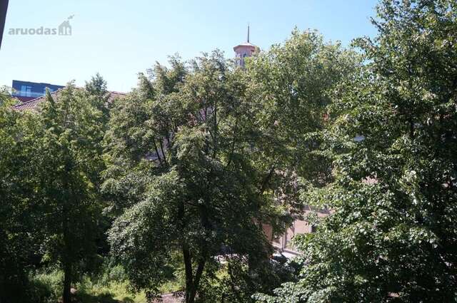 Апартаменты Central alley apartment Клайпеда-3